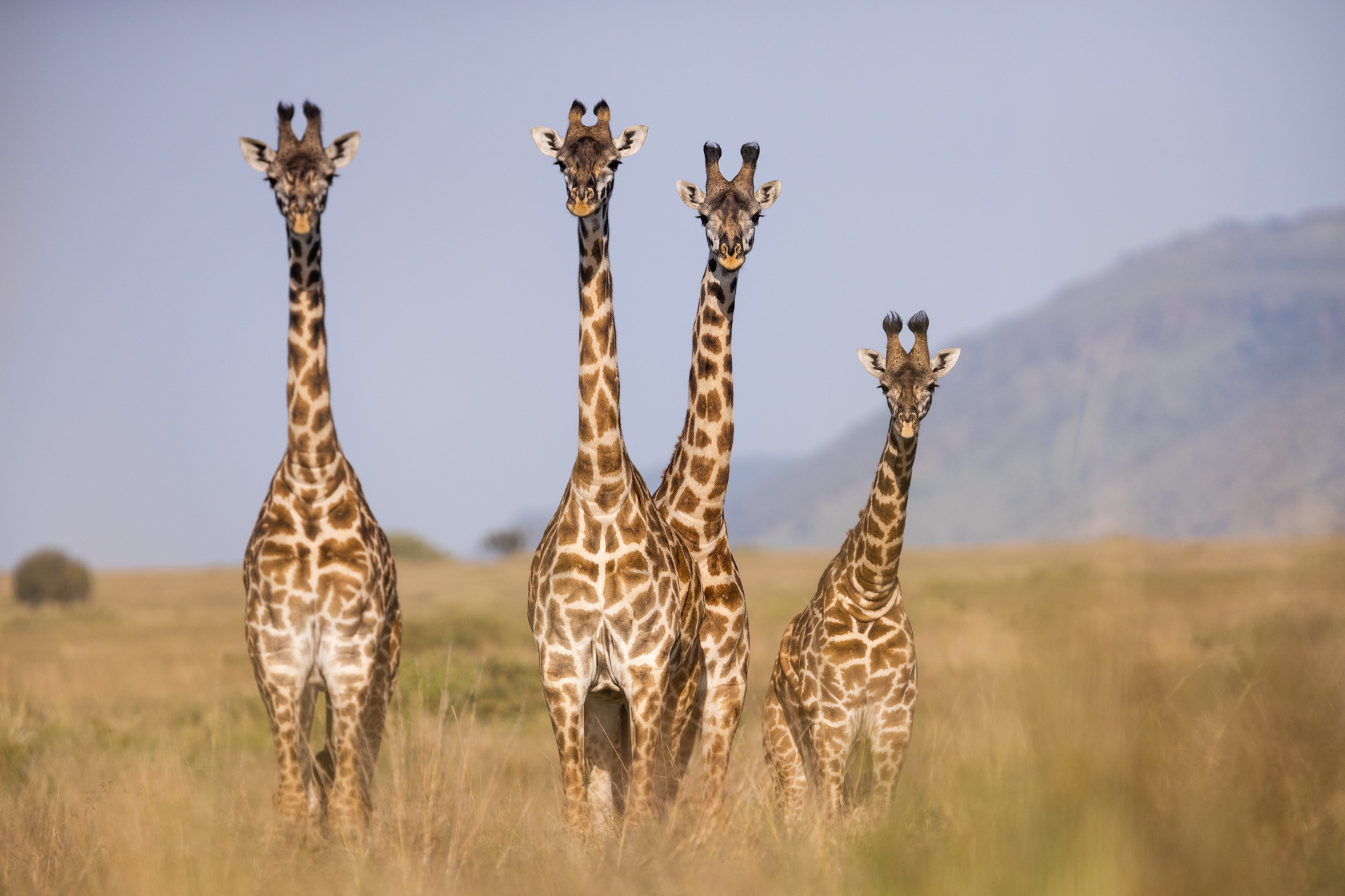 Lake Mburo National Park