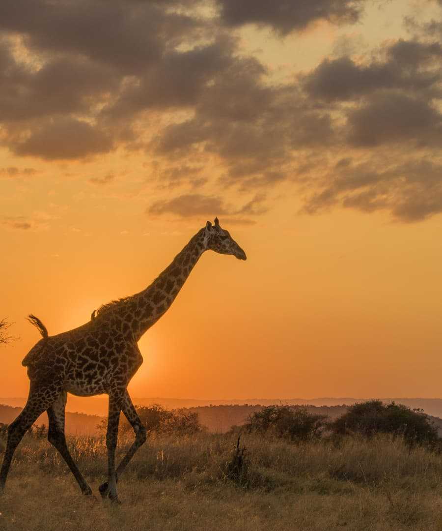 Kenya