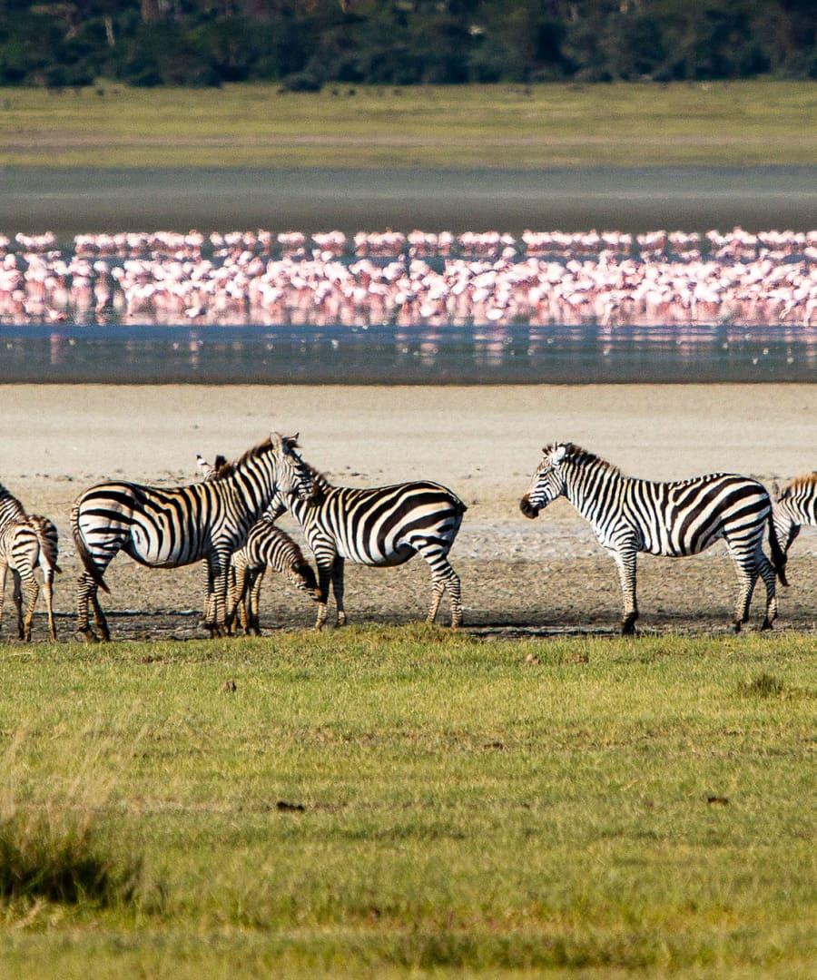 Tanzania