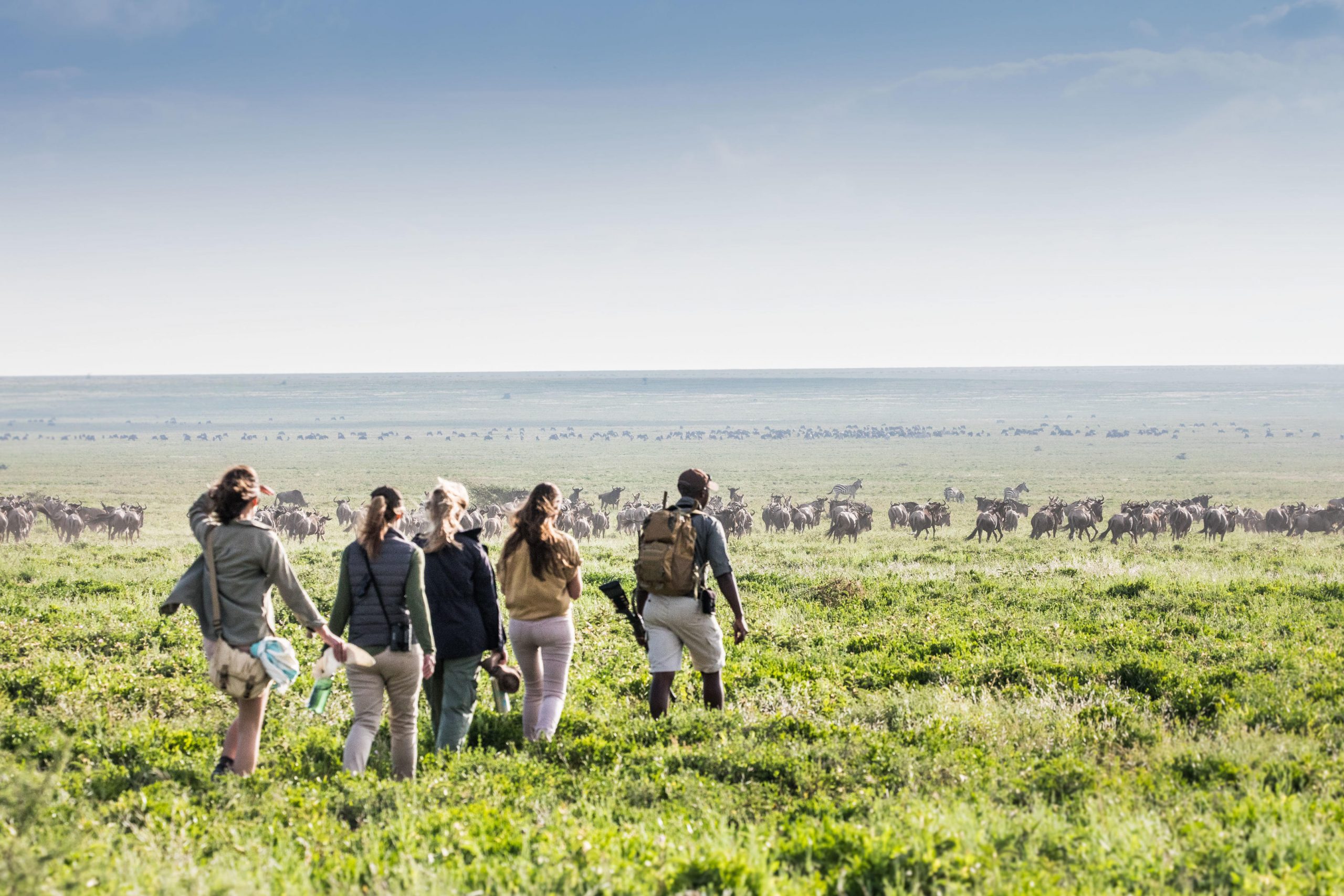 Walking Safari