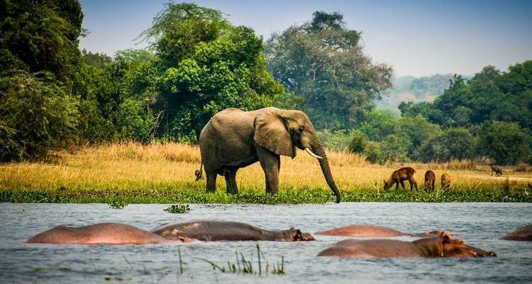Murchison Falls National Park